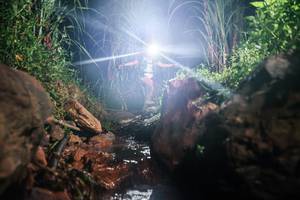 BIB: 
                            <button type="button" onclick="openModal(26413959)" class="btn btn-primary btn-sm float-right btn-popup" data-toggle="modal" data-target=".modal-high-quality">
                        <i class="fas fa-shopping-cart"></i> Add to Cart
                    </button>
                                            <button type="button" onclick="isThisMe(26413959, true)" class="btn btn-success btn-sm float-right btn-popup btn-isme hidden" data-toggle="tooltip" data-placement="bottom" title="นี่คือรูปของคุณใช่ไหม คลิกที่นี่เพื่อเอาเข้าอัลบั้ม">
                        <i class="fas fa-plus"></i> Add to album
                    </button>
                    <button type="button" onclick="isThisMe(26413959, false)" class="btn btn-warning btn-sm float-right btn-popup btn-isnotme hidden">
                        <i class="fas fa-ban"></i> Remove from album
                    </button>